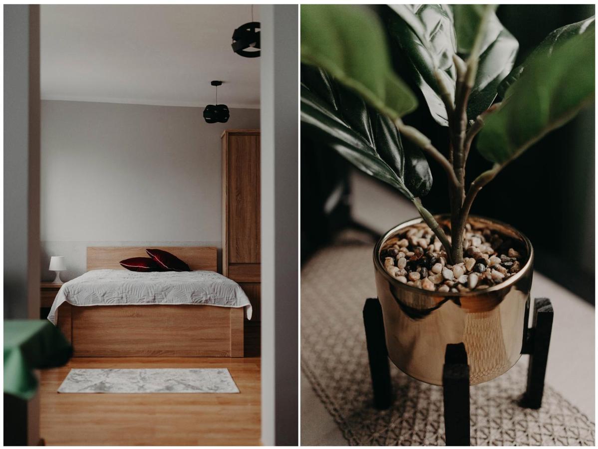 Apartamenty „Nad Popradem” Rytro Esterno foto